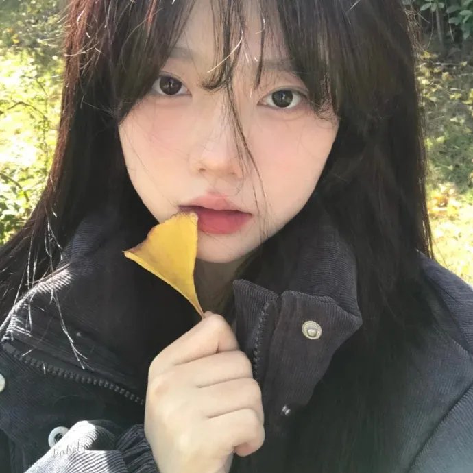 谎心爱漫游